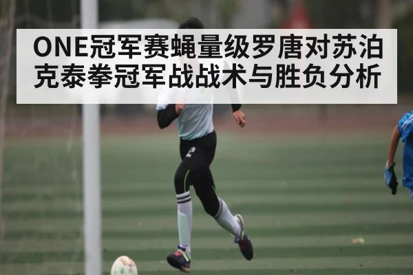 ONE冠军赛蝇量级罗唐对苏泊克泰拳冠军战战术与胜负分析